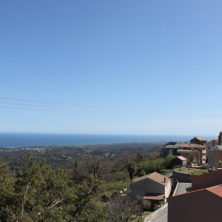 Villa Petrera Valle-di-Campoloro Εξωτερικό φωτογραφία