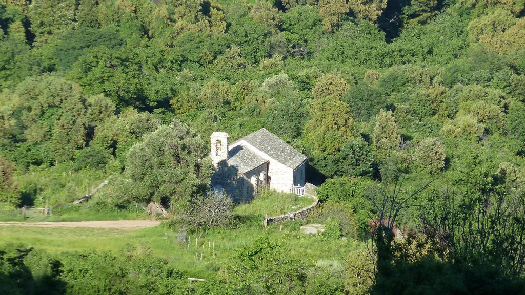 Villa Petrera Valle-di-Campoloro Εξωτερικό φωτογραφία