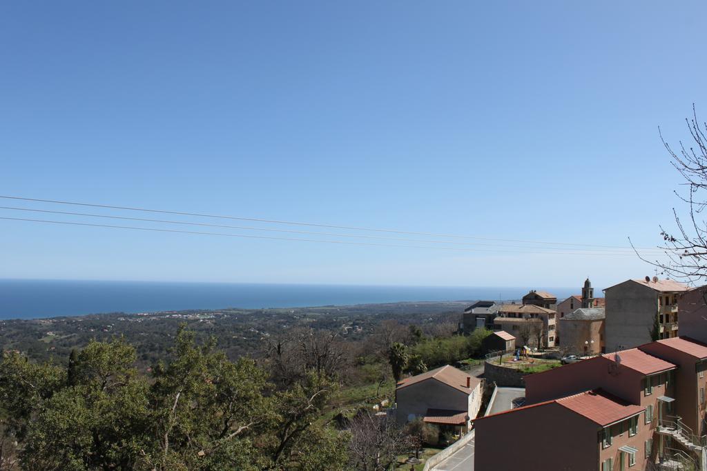 Villa Petrera Valle-di-Campoloro Εξωτερικό φωτογραφία